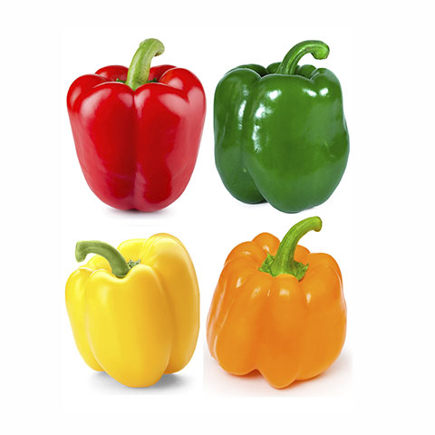 Bell Pepper
