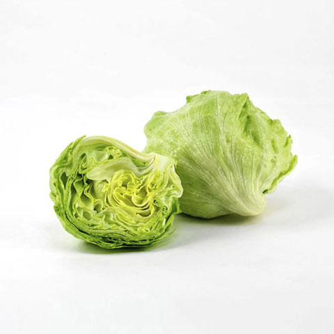 Iceberg Lettuce