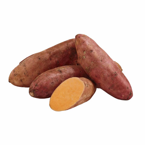 Sweet Potato