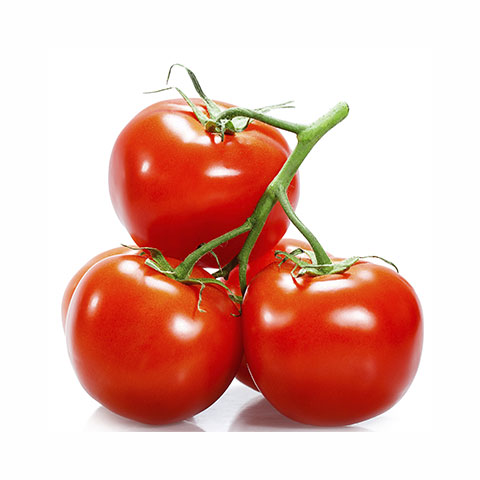 Tomato